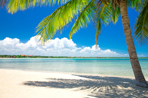 Beach Wellness Retreats to Rest, Restore & Recharge