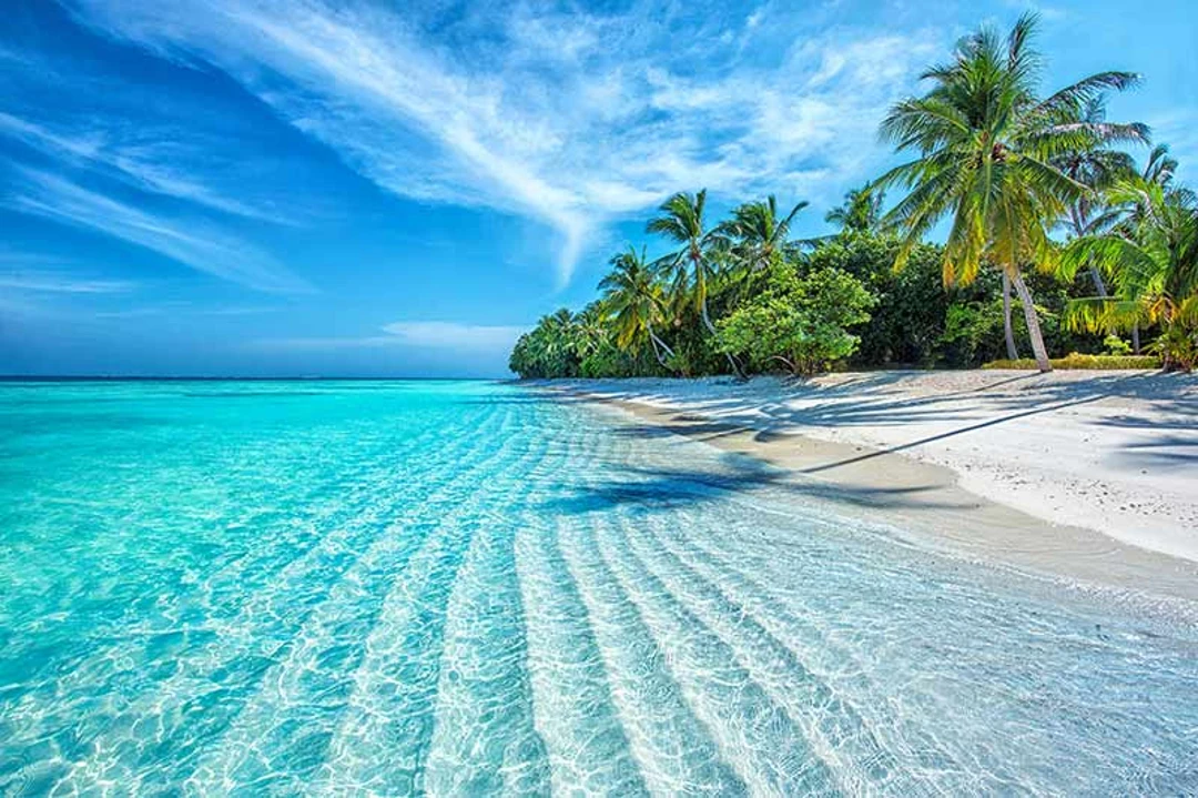 beach wellness retreats Beach Wellness Retreats to Rest, Restore & Recharge
