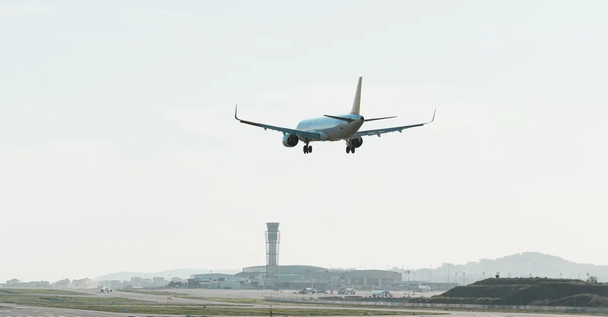 Understanding Airline Policies for Pets &mdash; pet friendly international travel flights and hotels