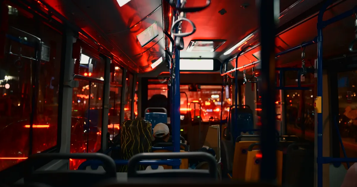 What Is Noctourism? Exploring the Thrills of Night Travel