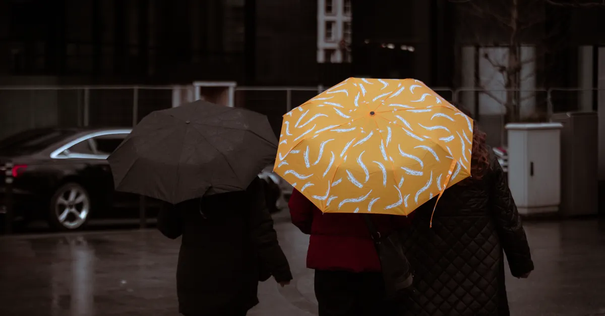 4 Best Travel Umbrellas for Windy Weather